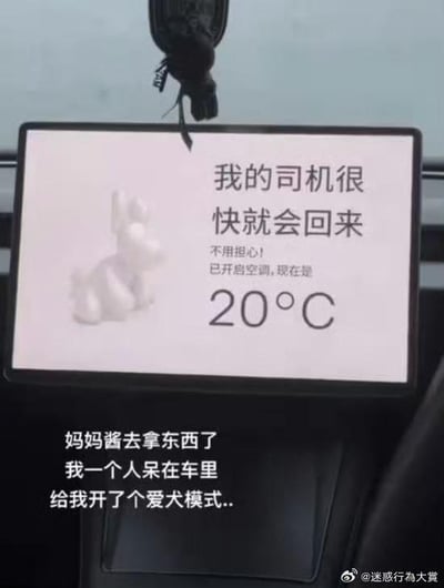 图片展示了汽车内部的一个提示牌场景。提示牌左侧有一个白色兔子玩偶，右侧文字内容为“我的司机很快就会回来 不用担心！已开启空调，现在是 20°C”。提示牌下方配有补充文字：“妈妈酱去拿东西了 我一个人呆在车里 给我开了个爱犬模式...”，推测是车主（妈妈）暂时离开车辆，为留在车内的人或宠物开启了类似“爱犬模式”的功能以保持舒适环境。整体画面展现了日常生活中温馨有趣的小细节。