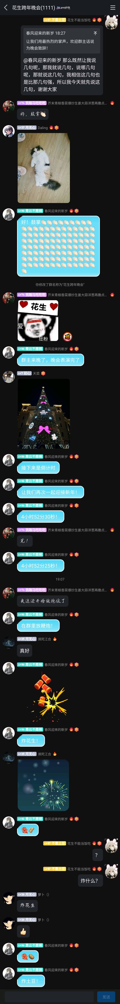 这是一张竖屏手机格式的QQ群聊记录截图，群名称为“花生跨年晚会(1111)”，群内成员正在开展线上跨年晚会的欢乐互动。流程始于成员“春风迎来的新岁”邀请群主“不是土豆”为晚会致辞，群主用一段绕口令式的搞笑话术回应，引发群成员发送鼓掌表情、猫咪图片、熊猫头表情包等进行互动；随后成员“是云不是祸”发起跨年倒计时，播报距离新年的剩余时间，还在群内发送鞭炮爆炸、烟花绽放的表情包，和其他成员玩起“炸花生”“炸土豆”的趣味梗，群主“不是土豆”对此发出疑问，成员“月无心”进行回应，整体氛围轻松诙谐，充满了迎接新年的热闹感，展现了网友线上跨年的趣味方式。