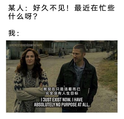 这是一张用于自嘲的梗图，模拟了日常社交中熟人见面的场景：上方是熟人的问候“好久不见！最近在忙些什么呀？”，下方则是改编自美剧截图的画面，通过添加“我现在只是活着而已 完全没有人生目标”的中英文字幕，精准表达了当下部分年轻人缺乏人生目标、浑浑噩噩度日的迷茫心态，用戏谑的方式说出了很多人在被问及近况时的真实心声，极易引发当代人的情感共鸣。