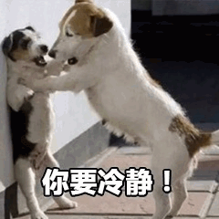 狗狗劝架名场面：你要冷静！