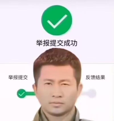 图片上半部分为绿色圆形对勾图标，下方配有“举报提交成功”文字，下半部分是人物头像，头像上方有“举报提交”和“反馈结果”两个选项卡，其中“举报提交”选项卡下有绿色对勾标记。整体构图模仿系统提交成功界面，通过拼接人物头像形成幽默效果，常用于社交媒体中调侃“举报成功”的场景。