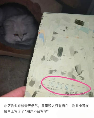 这是一张搞笑生活类趣味配图，上半部分左侧是一只表情严肃的灰色猫咪，右侧是一张大部分内容被打码处理的物业签单，签单下方的手写文字“用户不会写字”被粉色圆圈特意标注出来，图的底部配有文字说明，解释该场景是小区物业工作人员上门检查天然气时，住户家中无人只有宠物猫在家，工作人员便在签单上写下了“用户不会写字”的标注，整体内容诙谐有趣，充满生活笑点。