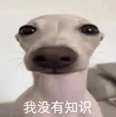 图片中是一只浅色狗狗的特写镜头，它有着大大的圆眼睛和突出的鼻子，表情看起来无辜又带着一丝困惑，正直勾勾地盯着镜头。图片底部有一行白色文字：“我没有知识”，文字内容与狗狗懵懂的表情形成幽默呼应，常被用来在聊天中自嘲自己对某件事不了解或缺乏相关知识。