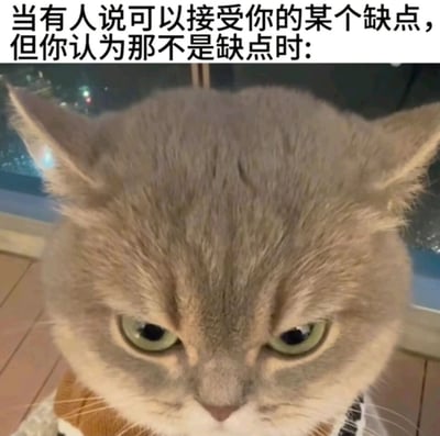这是一张图文混排的情绪表情包，上方配有文字“当有人说可以接受你的某个缺点，但你认为那不是缺点时:”，下方是一只浅灰色的宠物猫，它眉头紧皱、眼神满是不满与愤怒，面部肌肉紧绷，神态十分不悦。猫咪的愤怒表情完美契合了人们在自身特点被他人误解为缺点时的负面情绪，生动传递出被错误定义后的生气、不悦之感，适合在社交聊天中用来表达这类被误解的情绪。
