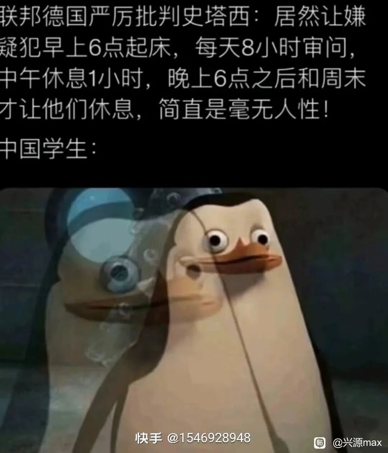 马达加斯加的企鹅