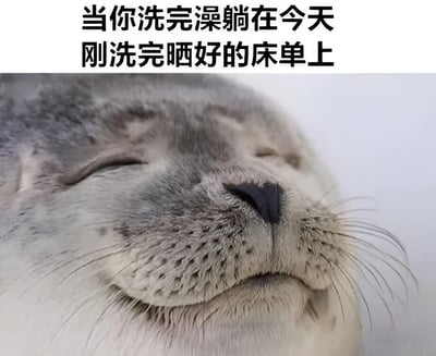 图片上半部分为黑色文字：'当你洗完澡躺在今天刚洗完晒好的床单上'，下半部分是一只海豹的特写照片。海豹双眼紧闭，嘴角微微上扬，表情显得极度放松和满足，仿佛正享受着躺在干净床单上的舒适体验。整体通过动物的惬意表情与文字描述的日常场景相结合，生动传达出人们在经历清洁后获得的愉悦感受。