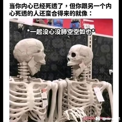 暂无描述