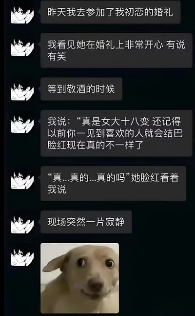 这是一张聊天记录风格的梗图，上方为黑色背景的文字气泡，内容讲述叙述者参加初恋婚礼的经历：看到初恋在婚礼上开心说笑，敬酒时提及她过去见到喜欢的人会结巴脸红，初恋却结巴回应“真…真的吗”并脸红，导致现场陷入寂静。最后一张配图是一只眼睛睁大、表情惊讶的小狗，仿佛对这尴尬又反转的场景做出反应。