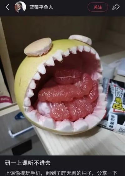 社交媒体截图中，用户“蓝莓平鱼丸”分享了一张创意柚子雕刻作品。画面主体是一个被掏空的黄色柚子，外皮被精心雕成咧嘴大笑的“怪兽”造型——顶部有两块圆形“眼睛”（疑似柚子皮或其他食材），边缘切割出尖锐的白色“牙齿”（柚子皮制成），张开的“嘴巴”里塞满了鲜红的柚子果肉。背景可见书桌一角，散落着零食包装袋等物品。配文写道：“研一上课听不进去 上课偷摸玩手机，翻到了昨天剥的柚子，分享一下”，透露出研究生上课走神摸鱼时的轻松日常。整体风格俏皮有趣，将普通水果变成了充满喜感的“小怪兽”形象。