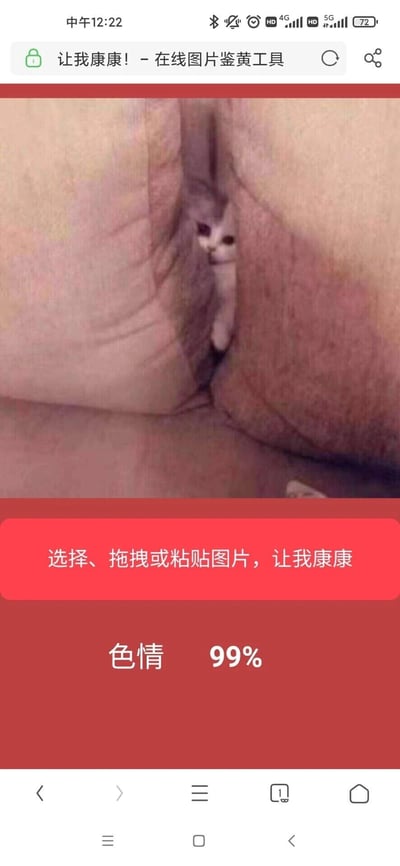 这是一张手机网页截图，展示了在线鉴黄工具对一张视觉错觉图的趣味误判场景。图中的核心图片是一张利用视觉错位效果的图：布料的褶皱形成了类似人体私密部位的视觉观感，一只浅色小猫正从褶皱的缝隙中探出头，露出好奇的表情。而在线鉴黄工具将这张图判定为“色情 99%”，这种AI的误判形成了反差感，成为网络上流传的趣味梗图，用来调侃AI图像识别的局限性。