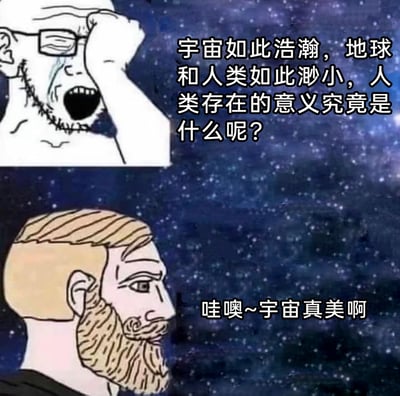 这是一张上下对比的卡通梗图，背景是布满繁星的浩瀚宇宙。上图是一个戴着眼镜、面部带有缝合线的卡通人物，他面露痛苦焦虑的神情，捂脸哭泣，配文为“宇宙如此浩瀚，地球和人类如此渺小，人类存在的意义究竟是什么呢？”，传递出面对宏大宇宙时陷入存在主义迷茫的心态；下图是一个留着络腮胡的金发卡通人物，他神态平和，侧头望向宇宙，配文是“哇噢~宇宙真美啊”，展现出单纯沉浸在宇宙之美中的乐观感知。整张图通过两种完全不同的反应，直观呈现了人们面对宏大事物时的两种典型心态：一种因自身渺小而陷入意义焦虑，一种则专注于当下能感知到的美好。