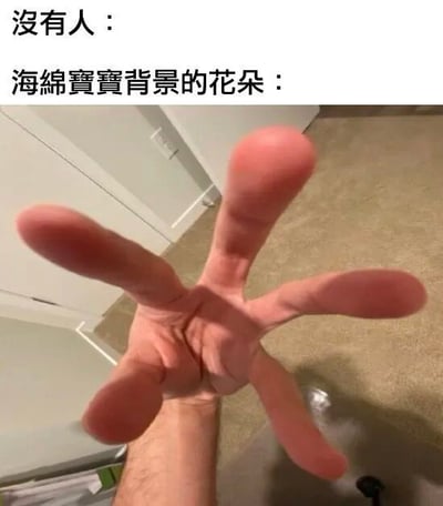 一张采用网络流行'没有人：X：'格式的搞笑梗图。上方文字分两行，第一行为'没有人：'，第二行为'海绵宝宝背景的花朵：'，下方配图是一只手掌张开、五指自然伸展呈花朵形状的实拍照片，模仿海绵宝宝动画中花朵的可爱姿态，通过无厘头的文字与图像结合，营造出幽默诙谐的效果。
