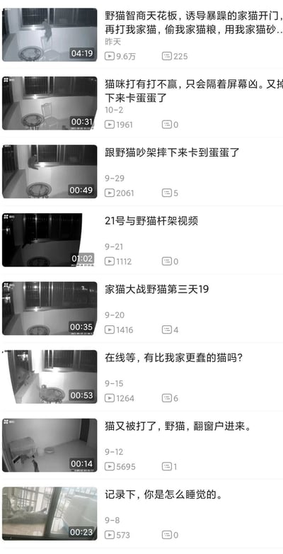 这是一张竖屏手机格式的社交媒体截图，展示了一位用户发布的一系列自家猫与野猫的互动短视频列表。视频均为夜间萤石监控拍摄的黑白画面，时间从9月8日到近期，内容涵盖家猫与野猫多次干架、家猫因争执摔下卡到蛋蛋、打不过野猫只能隔着屏幕凶狠叫骂、野猫诱导家猫开门后进入室内欺负家猫并偷吃猫粮使用猫砂，以及记录家猫睡觉的日常等趣事。每条视频都标注了时长、发布日期，还有对应的播放量和评论数，其中最新发布的视频播放量达到9.6万，可见这些搞笑的猫咪日常内容受到不少网友关注。