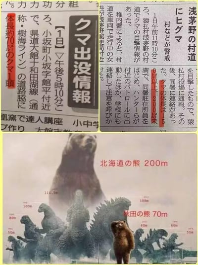 图片由三部分组成，上方两张为日文报纸剪报，标题包含“クマ出没情報”（熊出没情报），内容提及小坂町、浅茅野村道等地的熊出没时间和地点，如“1日午前11時10分”等。下方为一张熊尺寸对比图，展示不同地区的熊：最大的标注“北海道の熊 200m”（北海道的熊 200米），其次是“秋田の熊 70m”（秋田的熊 70米），还有体型更小的熊，形成夸张的尺寸对比。整体通过将严肃的新闻报道与荒诞的巨型熊形象结合，制造幽默效果，暗示新闻报道可能存在的夸张或不实。