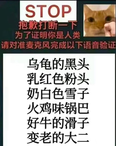 图片上半部分有一个红色的STOP标志，旁边配有文字"抱歉打断一下 为了证明你是人类 请对准麦克风完成以下语音验证"，右侧是一只被手指指着脸的橘猫。下半部分是一系列无厘头的短语："乌龟的黑头 乳红色粉头 奶白色雪子 火鸡味锅巴 好牛的滑子 变老的大二"。这是一个模仿网站语音验证系统的搞笑梗图，用荒谬的验证内容制造幽默效果。