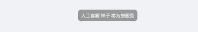 这是一张网页UI类的纯文字提示图，以灰色圆角矩形为载体，内部显示文字“人工客服 祥子 将为您服务”，用于告知用户当前将由名为祥子的人工客服提供服务，属于客服系统的对接提示内容，图中没有双关、谐音梗等特殊内容。