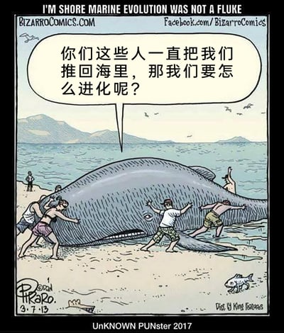 这是一幅来自Bizarro系列的幽默讽刺漫画，画面呈现了海滩上的场景：一头体型庞大的鲸鱼搁浅在沙滩边缘，多名穿着休闲夏装的人正合力将它往大海里推。鲸鱼却通过对白气泡发出无奈的抱怨：“你们这些人一直把我们推回海里，那我们要怎么进化呢？”。画面顶部的英文标题“I'M SHORE MARINE EVOLUTION WAS NOT A FLUKE”是一处双关梗，“shore”与“sure”发音相同，“fluke”既指“侥幸事件”，也指鲸鱼的尾鳍，既点题又强化了幽默效果。漫画以生物进化史中海洋生物登陆进化的理论为脑洞基础，将人类救助搁浅鲸鱼的善意行为，设定成“阻碍”鲸鱼进化的“反向操作”，通过荒诞的反差感制造出讽刺趣味，调侃了进化论相关的话题，同时展现了Bizarro漫画典型的脑洞幽默风格。