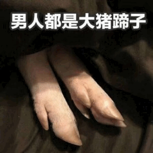 男人都是大猪蹄子 搞笑梗图