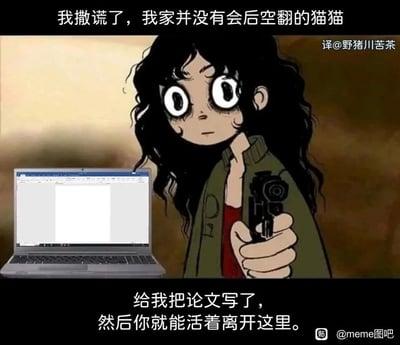 这是一张精准戳中学生论文焦虑的搞笑meme图，画面主体是一位有着浓重黑眼圈、神情疲惫崩溃的卡通学生，他手持手枪做出威胁姿态，身旁是打开着空白论文文档的笔记本电脑。图中上方文字“我撒谎了，我家并没有会后空翻的猫猫”，玩了学生为拖延论文编造离谱借口的常见梗；下方文字“给我把论文写了，然后你就能活着离开这里”，则以夸张的威胁语气，将学生面对论文时的无助、焦虑和被逼到极致的状态放大，用荒诞的方式引发学生群体的强烈共鸣，生动展现了论文压力下学生的崩溃瞬间。