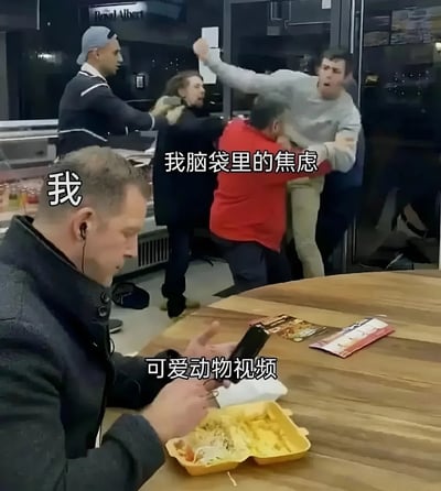 图片通过前景与背景的强烈对比展现内心状态：前景中一名男子戴着耳机，平静地坐在餐桌前，面前放着打开的外卖盒，正专注观看手机上的“可爱动物视频”，旁边标注“我”；背景则是混乱的打斗场景，几名男子互相推搡拉扯，一人高举手臂似要挥拳，该区域标注“我脑袋里的焦虑”。这种反差幽默地表现了人们表面平静观看轻松内容时，内心焦虑却在激烈“斗争”的状态。