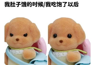 图片展示了一个棕色小狗玩偶的左右对比。左侧图中，小狗表情严肃，对应文字“我肚子饿的时候”；右侧图中，小狗表情满足，对应文字“我吃饱了以后”。通过玩偶表情的变化幽默地表现了人在饥饿和饱腹时的情绪差异。