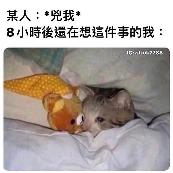 懒懒熊