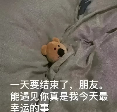 一张静态照片中，棕色小熊玩偶从灰色被子的缝隙里探出头，黑色鼻子搭配红色眼睛显得格外腼腆。玩偶仅露出头部和部分耳朵，身体藏在褶皱的被子中，营造出躲起来偷看的可爱画面。图片底部覆盖着白色文字：“一天要结束了，朋友。能遇见你真是我今天最幸运的事”，整体氛围温暖治愈，像是在一天结束时传递给朋友的温柔问候。