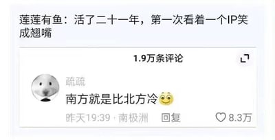 图片展示了一张社交媒体评论截图，顶部是用户“莲莲有鱼”的评论：“活了二十一年，第一次看着一个IP笑成翘嘴”。下方是评论区截图，显示共有1.9万条评论。其中一条高赞评论来自用户“疏疏”（头像为简约卡通笑脸），内容为“南方就是比北方冷 😊”，发布时间为“昨天19:39”，定位显示为“南极洲”，获得了8.3万点赞。

图片的幽默点在于用户“疏疏”将定位设置为“南极洲”（地球最寒冷的地区之一），却评论“南方就是比北方冷”，形成了地理位置与评论内容的反差萌，增强了调侃效果。