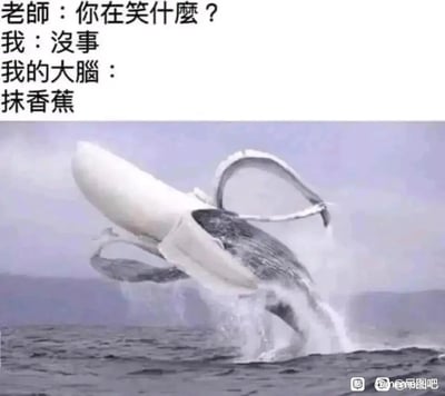 这是一张图文结合的搞笑meme，上方以文字对话还原校园课堂场景：老师询问走神发笑的学生「你在笑什么？」，学生嘴硬掩饰「没事」，同时标注出自己大脑里不受控制的脑洞内容「抹香蕉」；下方是经过P图改编的海洋生物图片，创作者修改了抹香鲸与鱿鱼的互动画面，让鱿鱼的形态看起来像香蕉，抹香鲸的动作仿佛在「抹」这个「香蕉」，利用「抹香鲸」与「抹香蕉」的谐音制造荒诞又搞笑的反差感，精准还原了学生在课堂上走神时，大脑不受控制脑补奇怪搞笑内容的真实状态，能引发学生群体的强烈共鸣。