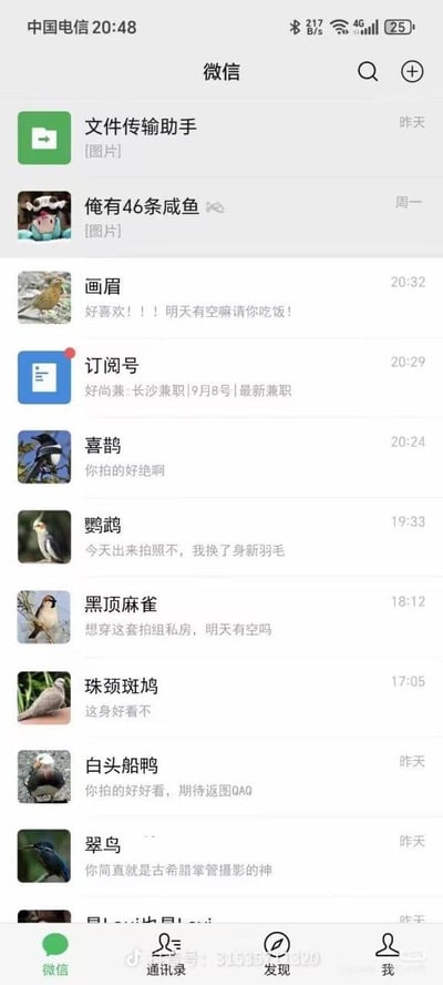 该图片为微信聊天列表的手机截图，界面显示多个联系人以鸟类名称命名，包括画眉、喜鹊、鹦鹉、黑顶麻雀、珠颈斑鸠、白头船鸭、翠鸟等。每个鸟类联系人发送了不同的互动消息，如画眉表示“好喜欢！！明天有空请你吃饭！”，喜鹊称赞“你拍的好绝啊”，鹦鹉邀约“今天出来拍照不，我换了身新羽毛”，黑顶麻雀询问“想穿这套拍组私房，明天有空吗”等。整体营造出一种将聊天联系人拟人化为鸟类进行日常互动的幽默场景，风格轻松有趣。