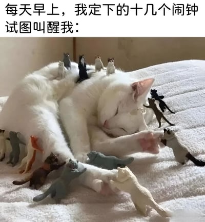 图片上方配有文字“每天早上，我定下的十几个闹钟试图叫醒我：”，下方是一只沉睡的大白猫，周围和身上爬满了多个小型猫模型。这些小猫咪模型象征着多个闹钟，生动形象地表现了即使设置多个闹钟也难以叫醒沉睡者的场景，用可爱的猫咪形象幽默地表达了人们对起床的抗拒心理。