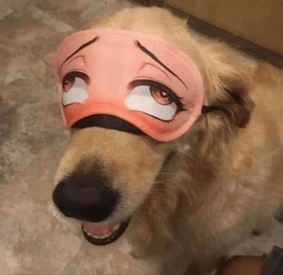 图片中是一只金毛犬，它正躺在铺有花纹地毯的地面上，头部戴着一个橙色的眼罩。眼罩上印着一双超大的动漫风格眼睛，有着棕色的虹膜、白色的眼白和黑色的眉毛，眼神看起来略带惊讶和无辜。狗狗的嘴巴微微张开，露出舌头，似乎在喘气，耳朵自然下垂，整体表情呆萌又搞笑。背景中可以看到米色的墙壁和部分家具边缘，整个场景温馨又充满趣味。