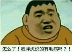 这是《哆啦A梦》动画中角色胖虎的面部特写截图，他眉头紧锁，嘴巴张开，表情愤怒，下方配有文字“怎么了！我胖虎说的有毛病吗？！”，整体呈现出一种强势反驳的姿态，常被用作表达强烈自信或反驳质疑的表情包。
