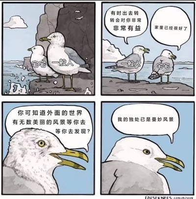 这是一组四格连环卡通漫画，以拟人化的两只海鸥分别代表“一般人”和“宅宅”的形象，在海边岩石的场景下展开对话。第一格明确标注两只海鸥的身份，它们站在海浪拍打的岩石上；第二格中，代表“一般人”的海鸥试图劝说代表“宅宅”的海鸥出门走走，宅宅则表示待在家里就已经很满足；第三格，“一般人”继续极力描绘外面世界的美丽风景，试图打动宅宅；第四格，宅宅平静地回应，认为自己的独处时光本身就是曼妙的风景，传递出享受独处、接纳自我生活方式的态度。