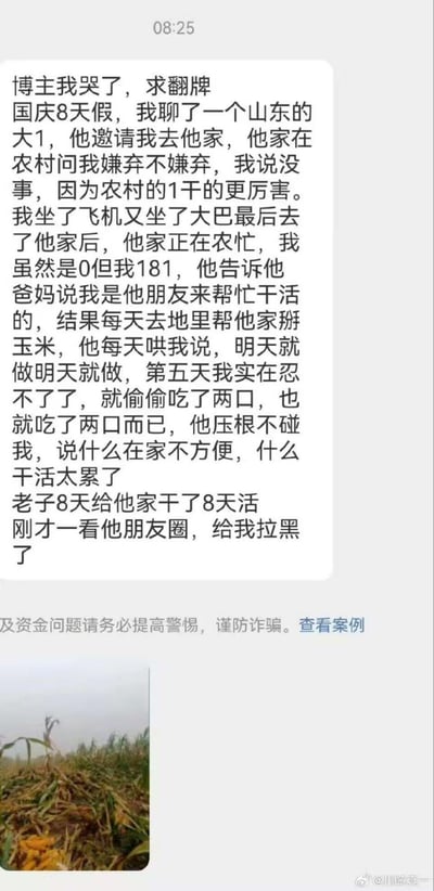 这是一则网友投稿的搞笑吐槽内容，讲述自己国庆8天假期奔现网上认识的山东大一同性网友，原本期待亲密互动，结果被对方以朋友身份介绍给父母，每天被拉去地里帮忙掰玉米，对方还一直哄骗说明天就有亲密接触，直到第五天自己主动后仍被拒绝，最后还被拉黑的无奈经历。
其中的“0”“1”是同性圈子里的代称，“0”指关系里的被动方，“1”指主动方；“偷偷吃了两口”是隐晦的亲密行为暗示，属于圈内的调侃说法。配图是一片掰过的玉米地，对应文中掰玉米的情节。