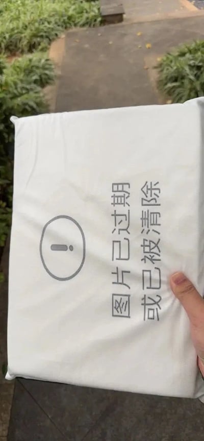 一只手手持一块印有灰色信息图标（圆圈内有'i'字样）和文字'图片已过期或已被清除'的白色布料，背景为户外场景，可见绿色植物和灰色石板路。该图片通过将常见的网络图片过期提示信息实体化为一块布，形成一种幽默的创意表达，模仿了线上常见的失效图片提示界面。