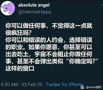 这是一张Twitter（现X平台）的社交媒体截图，用户absolute angel以紫色卡通河马为头像，发布了一段充满黑色幽默的人生思考文字。文字以反问开头，指出人类拥有极致的自主选择权：可以做出错误的情感选择、职业选择，甚至是吃土这种荒诞行为，宇宙不会像软件一样弹出确认窗口阻止，用戏谑的方式调侃人生的自由与荒诞，引发人们对自主选择的反思，内容兼具趣味性与哲理性。