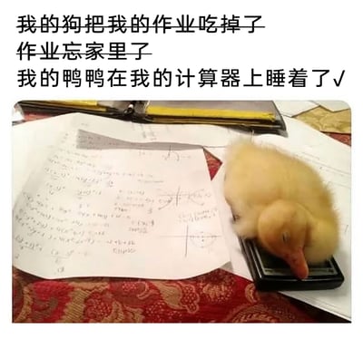 这是一张图文结合的趣味梗图，上方列出三个学生常用的不交作业理由，前两个是经典的“我的狗把我的作业吃掉了”“作业忘家里了”，第三个“我的鸭鸭在我的计算器上睡着了”被打上对勾，对应下方的实拍场景：一只奶黄色的小鸭子正闭着眼睛，趴在计算器上睡得十分香甜，旁边是写满数学公式、函数图形的作业纸。这张图用真实又可爱的萌宠场景，把离谱的理由变成了“真实存在”的情况，以软萌的方式制造笑点，精准戳中学生党写作业时的烦恼，用可爱的画面让这个“奇葩”理由变得让人无法拒绝。