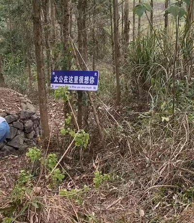 这是一张野外林地的实拍图，在杂草丛生的林间，立着一块模仿道路指示牌样式的标识牌，牌面写着中文“太公在这里很想你”，下方配有英文“Miss you very much”，还标注了南北（S、N）方向。标识牌旁有石砌的堆体，画面左侧能看到一个人的部分身影，整体环境充满野外自然的氛围，用特别的路牌形式传递出对逝去太公的思念与缅怀，温情又戳人。