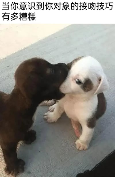 图片中两只小狗正在互动：一只棕色小狗亲昵地将嘴凑向另一只白色带棕色斑点的小狗，而白色小狗则睁着大眼睛，表情略显无奈和惊讶，前爪微微抬起，仿佛在抗拒又或是不知所措。图片上方配有文字“当你意识到你对象的接吻技巧有多糟糕”，通过小狗间略显笨拙的亲昵动作，幽默地类比了情侣中一方接吻技巧不佳时另一方的尴尬感受，整体氛围轻松搞笑。