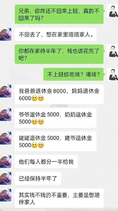 这是一段微信聊天记录的竖屏截图，对话发生在一位仍在上班的人（绿色对话框）和一位在家待了半年不上班的人（紫色头像）之间。询问者先是关切又疑惑地询问对方为何还不回归工作，接着质疑对方在家待了半年的经济来源问题。而对方则详细列出父亲、母亲、爷爷、奶奶、姥姥、姥爷的退休金数额，表示每位家人都会分一半退休金给自己，这种资助已经持续了半年，最后还补充一句“其实钱不钱的不重要，主要是想陪伴家人”，形成了强烈的反差感，用幽默的方式调侃了当下一种另类的“躺平”生活方式，看似是陪伴家人，实则依赖多位家人的退休金资助维持生活。