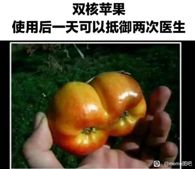图中展示了一只手握着一个连体的畸形苹果，该苹果外观如同两个苹果生长在一起，呈现出独特的“双核”形态。上方配文“双核苹果 使用后一天可以抵御两次医生”，玩了经典俗语“一天一苹果，医生远离我”的梗，将连体苹果调侃为“双核”，对应能抵御两次医生，用特殊水果的外形结合俗语进行趣味改编，制造出脑洞大开的搞笑效果。
