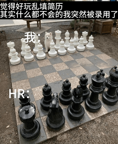 图片展示了一个户外大型国际象棋棋盘，棋盘上黑白棋子分列两侧。白色棋子区域标注“我:”，其中混有一只白色小狗；黑色棋子区域标注“HR:”，棋子高大整齐。上方文字为“觉得好玩乱填简历 其实什么都不会的我突然被录用了”，通过象棋棋局幽默比喻求职者（弱小的“我”方）意外被强大的HR方录用的反差场景。