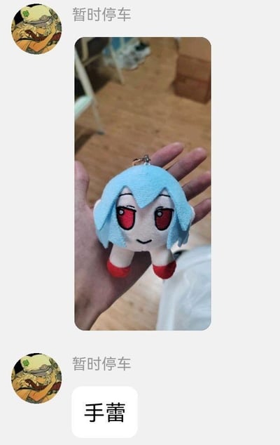 这是一张社交聊天界面的截图，用户“暂时停车”先发送了一张实拍图，图中一只手握着一个Q版毛绒挂件，该挂件原型是《东方Project》中的蕾米莉亚·斯卡蕾特，有着浅蓝色短发、红色眼睛，造型小巧可爱，作为钥匙挂件存在；随后用户发送文字“手蕾”，玩了谐音梗，将“手办”的谐音结合挂件的手持形态与角色名字里的“蕾”，把这个小型周边调侃为“手蕾”，充满趣味。