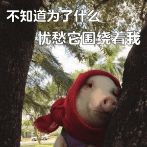 忧郁小猪：忧愁它围绕着我
