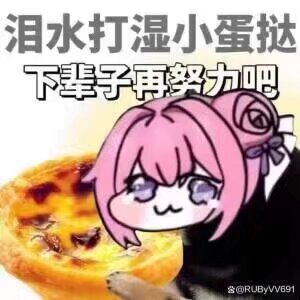 泪水打湿小蛋挞 下辈子再努力吧