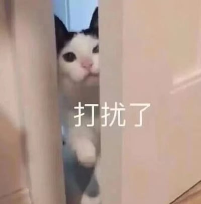 这是一张静态的文字加注类表情素材图，画面主体是一只黑白花色的猫咪，它从半开的门缝中探出头，一只前爪搭在门上，眼神看起来小心翼翼，带着一丝局促，仿佛是不小心闯入了某个不该进入的空间。图中在猫咪的位置配有醒目的白色文字“打扰了”，这个表情包通常用于社交场景中，当不小心打扰到他人、闯入不合适的场景，或者看到不想继续看的内容时，用来以幽默、委婉的方式表达歉意，或是调侃式地表示自己要退场，传递出尴尬、无奈又略带诙谐的情绪。