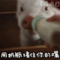 用奶瓶堵住你的嘴的小猪GIF