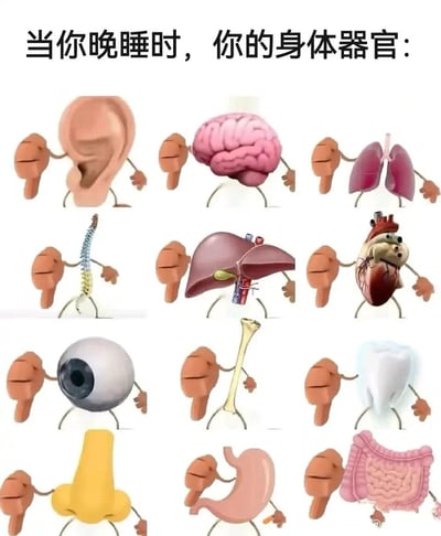 这是一张采用九宫格布局的静态科普图，顶部配有文字“当你晚睡时，你的身体器官：”。图中将耳朵、大脑、肺、脊柱、肝脏、心脏、眼睛、骨骼、牙齿、鼻子、胃、肠道共12种人体器官进行拟人化创作，每个器官都被添加了手臂和腿部，并且均做出竖大拇指向下的手势，以幽默夸张的拟人化方式，直观地表现出晚睡行为会让身体各个器官都产生“不满”，以此提醒大众熬夜会对全身多器官造成伤害，倡导健康的作息习惯。