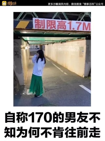 这是一张搞笑梗图，画面展示了一处标注“制限高1.7M”的日式涵洞口，一名穿着白上衣绿裙子的女生站在涵洞口，图片下方配文“自称170的男友不知为何不肯往前走”。通过1.7米的限高标识，巧妙暗示自称身高170的男友实际身高不足170，害怕穿过涵洞时暴露真实身高，用幽默的方式调侃男生虚报身高的行为，充满趣味。